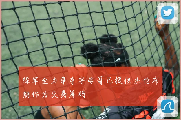 绿军全力争夺字母哥已提供杰伦布朗作为交易筹码